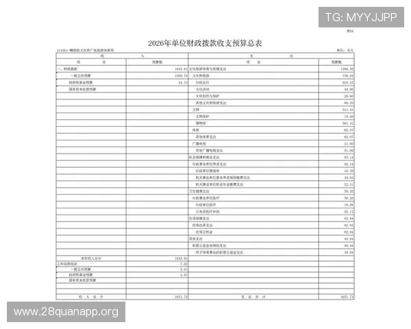 三公经费的预算与审计流程详解，确保政府财政支出公开透明符合规范