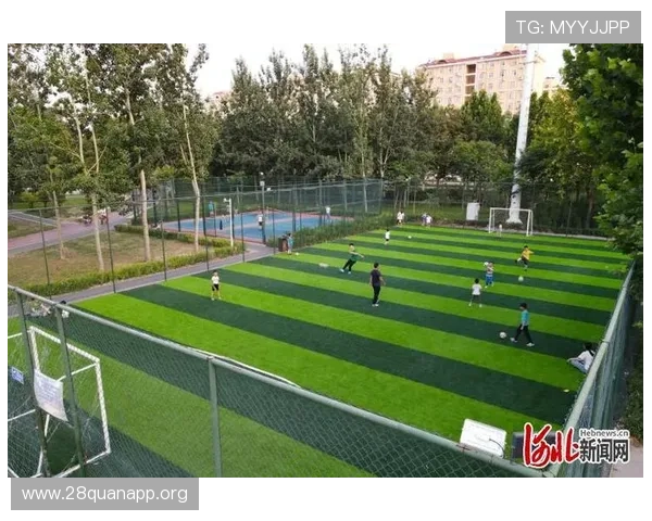 南宫体育馆场馆租赁详细流程及价格标准，满足各类团体和企业需求