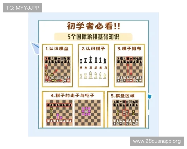 南宫娱乐官网新手入门指南快速掌握游戏规则与操作技巧